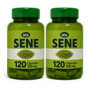 Sene